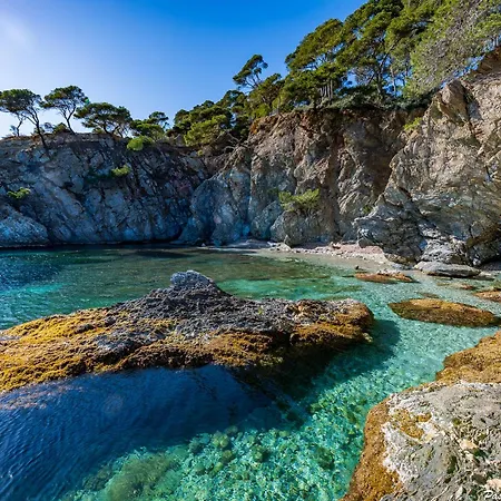 Front De Acces Presqu'ile De Giens-sea And Mountain Pleasure *