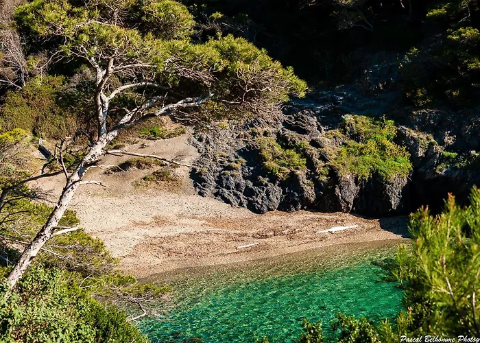 Βίλα Front De Acces Presqu'ile De Giens-sea And Mountain Pleasure *