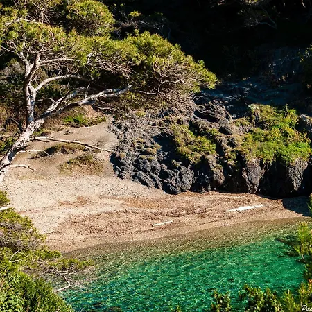 Βίλα Front De Acces Presqu'ile De Giens-sea And Mountain Pleasure *