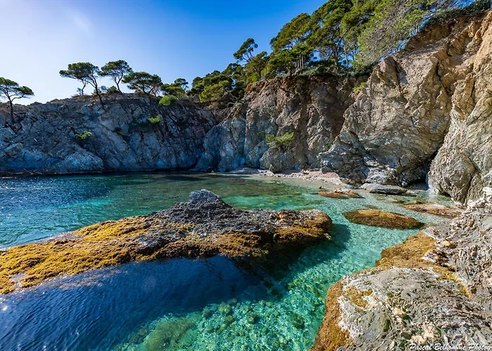 Front De Accès Presqu'île De Giens-sea&mountain Pleasure *