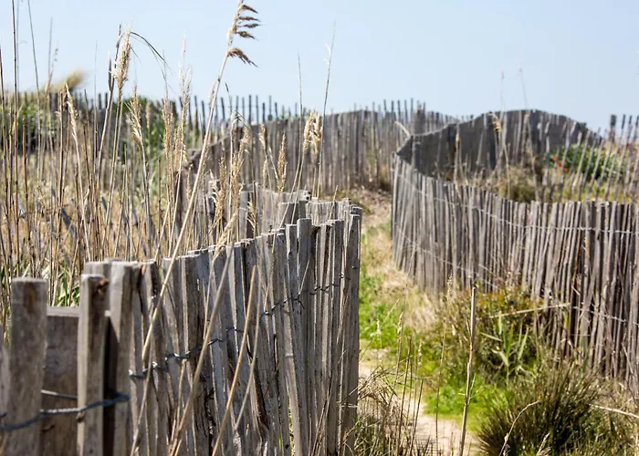 Villa Front De Accès Presqu'île De Giens-sea&mountain Pleasure